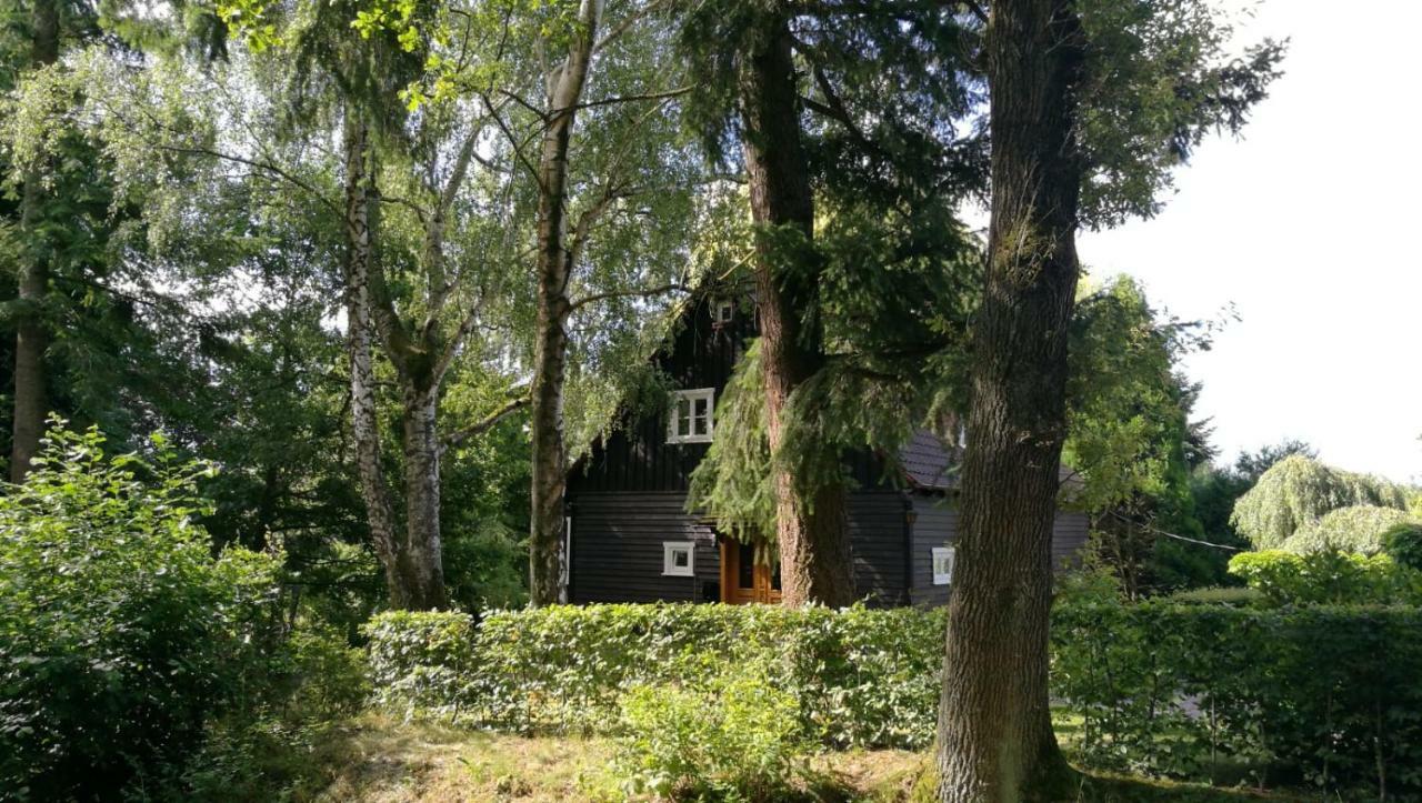 Villa "Haus Am Knobben" Uslar Exterior foto